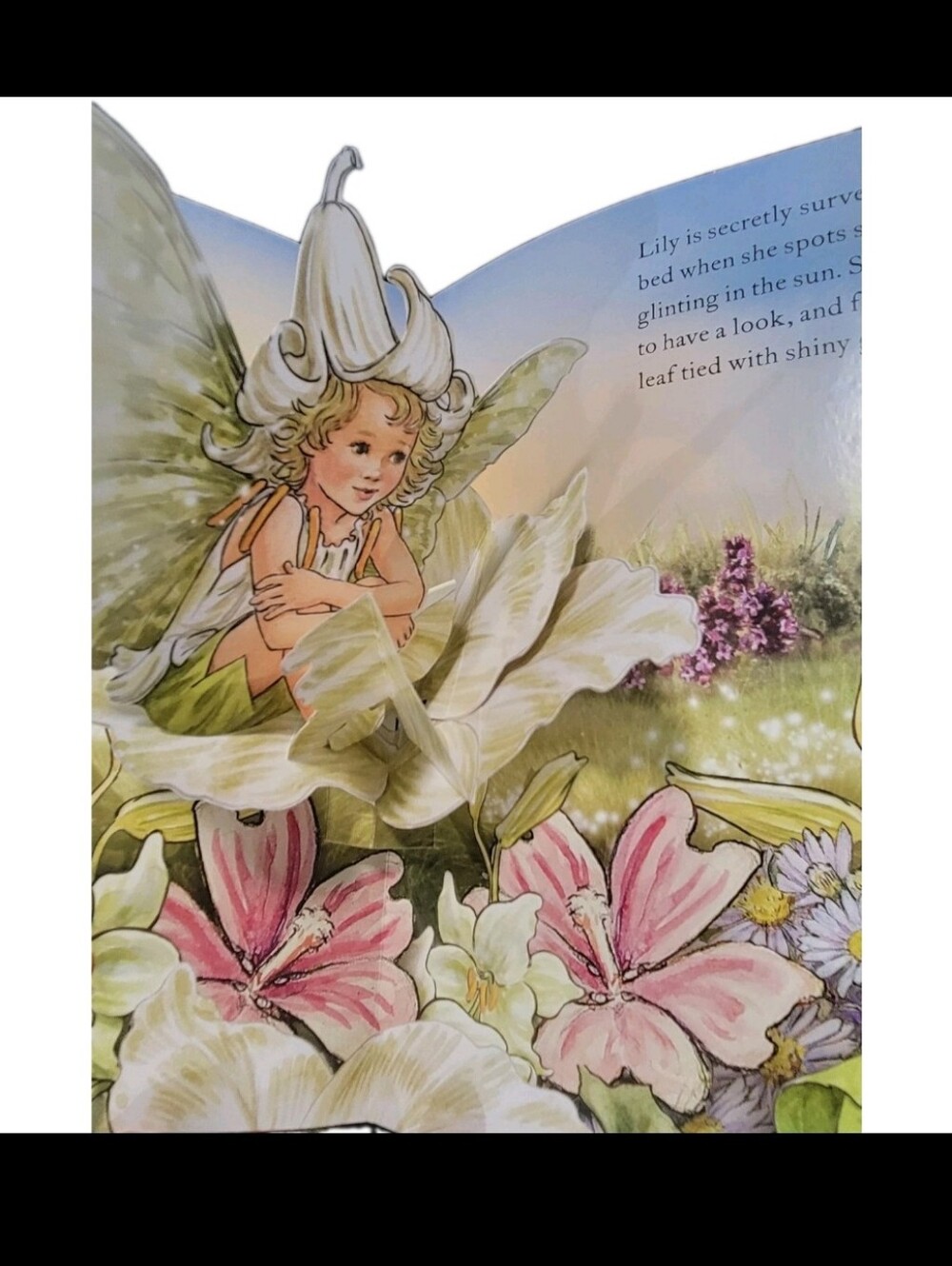 Flower Fairies Magical Secret Garden Hardcover Pop-Up Book Whimsy New HC - Picture 2 of 6